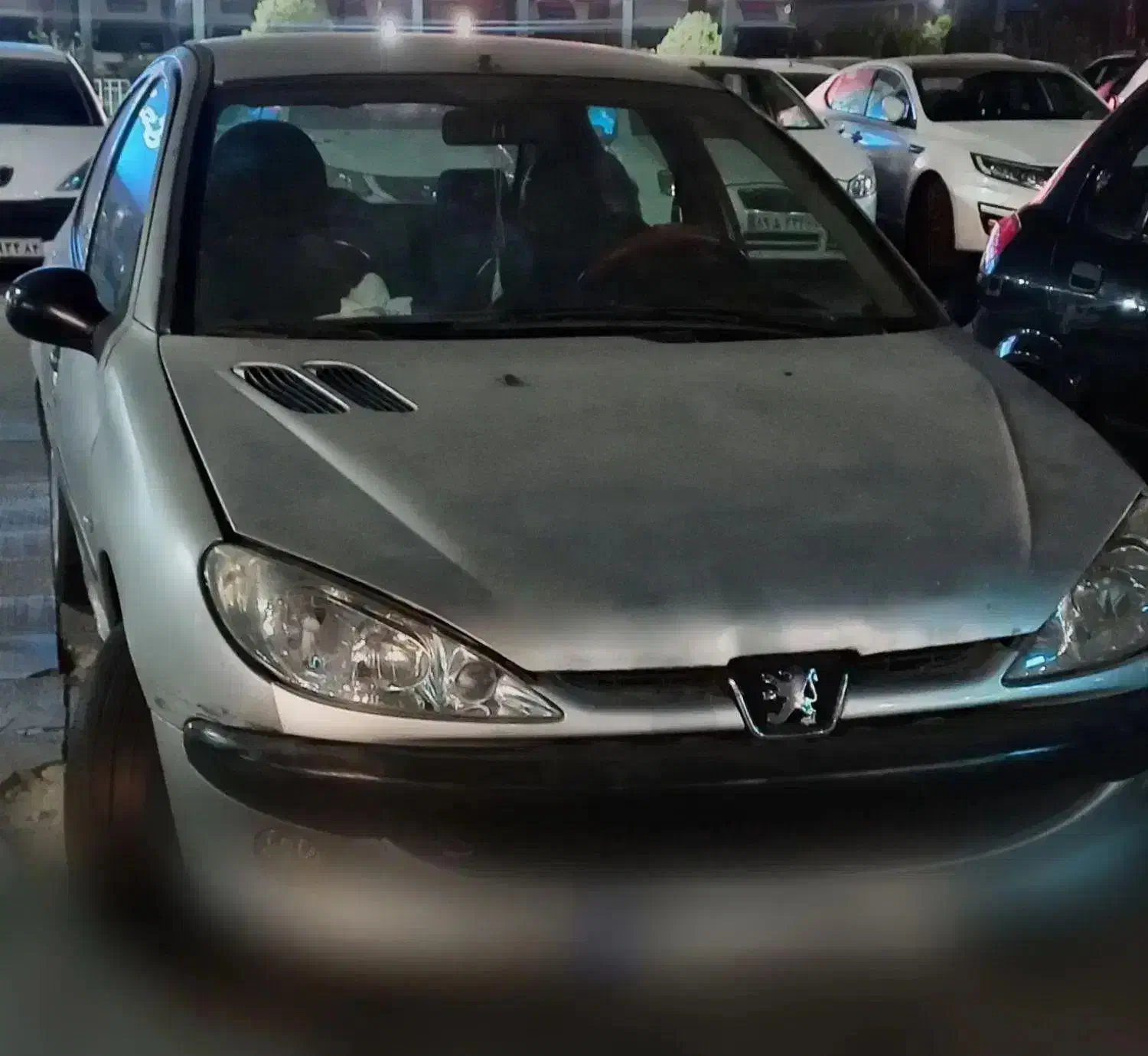 پژو ۲۰۶|خودرو سواری و وانت|تهران, باغ فیض|دیوار