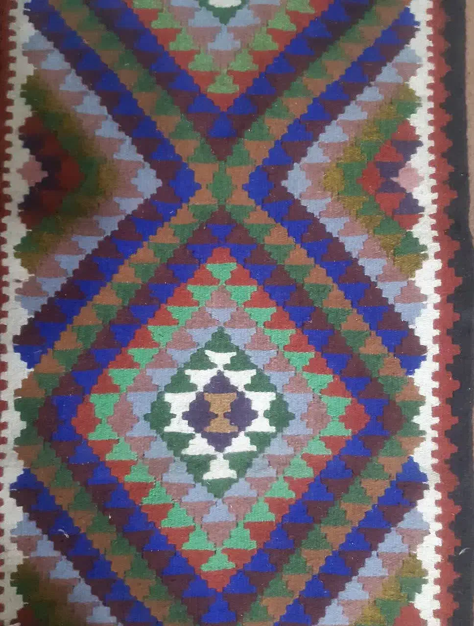 گلیم فرش دستباف|گلیم، جاجیم، گبه|رشت, کاکتوس|دیوار