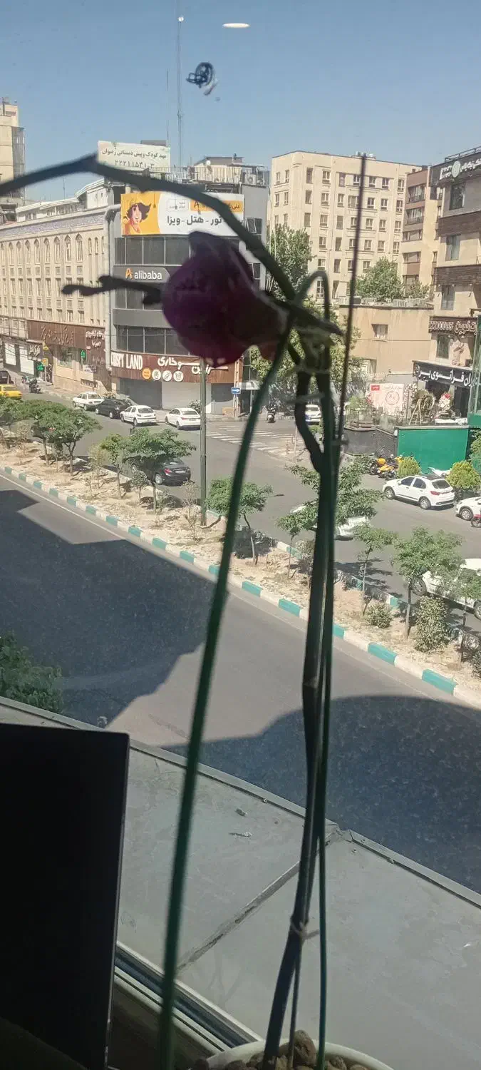 دو واحد موقعیت اداری ۸۵ متری اندرزگو|اجارهٔ دفتر کار، اتاق اداری، مطب|تهران, قیطریه|دیوار