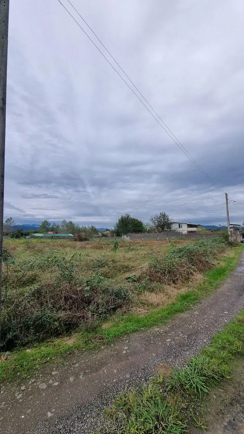 ۱۲ هزار متر با سند/مستعد تغییر کاربری|فروش زمین و ملک کلنگی|املش, |دیوار