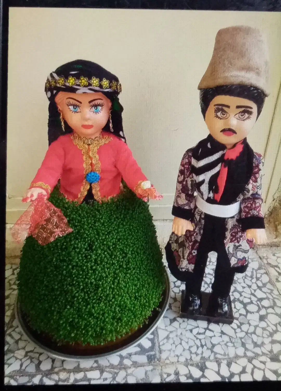 سبزه آماده|گل و گیاه طبیعی|خرمآباد, |دیوار