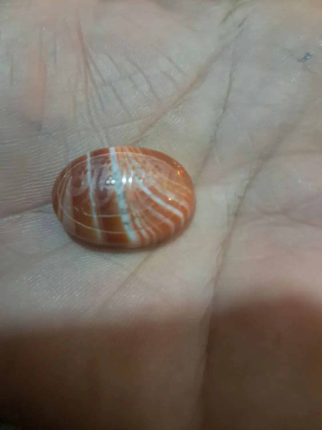 زیور الات|جواهرات|اصفهان, شاه پسند|دیوار