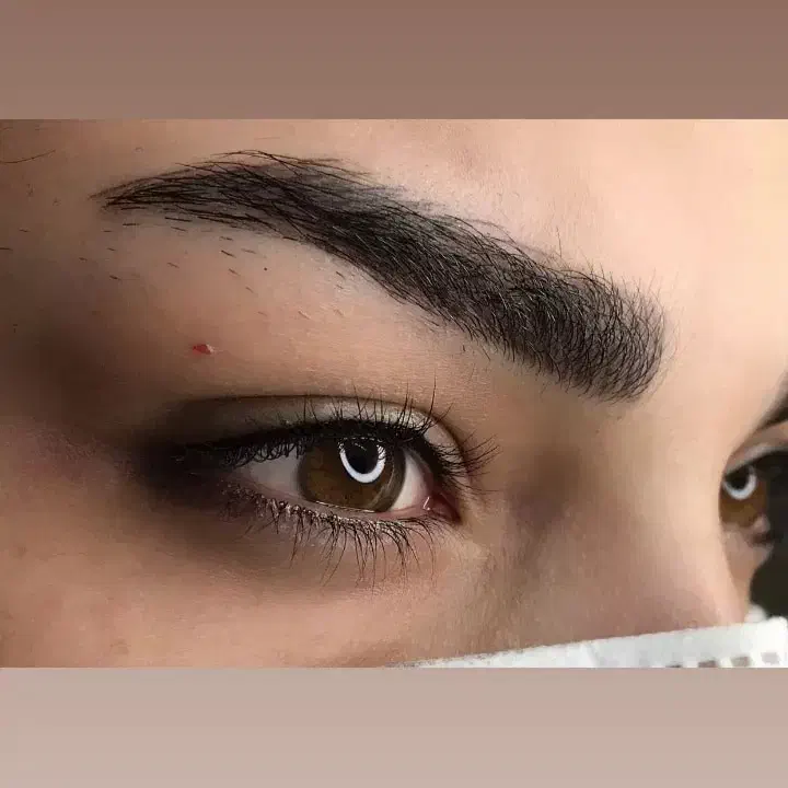 میکرو بلیدینگ پیگمنتر.جشنواره یلدایی برای ۵نفراول|خدمات آرایشگری و زیبایی|مشهد, ایثار|دیوار