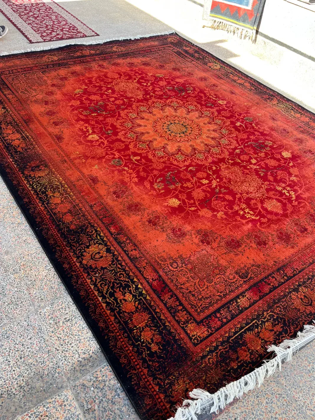 فرش ۱۲متری|فرش|شیراز, شهرک گلها|دیوار