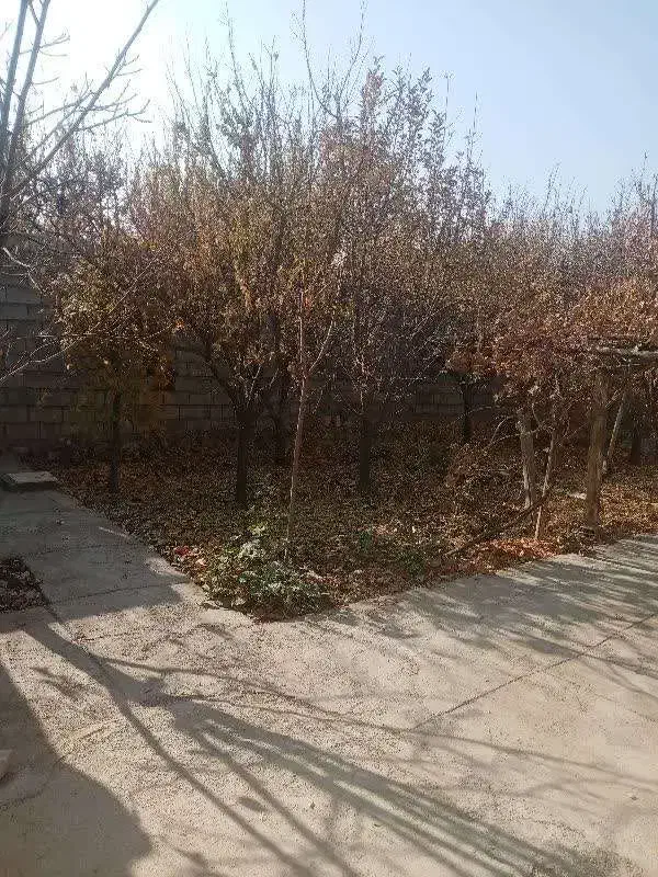 منزل ویلایی فروشی چناران روستای گهوه|فروش خانه و ویلا|چناران, |دیوار