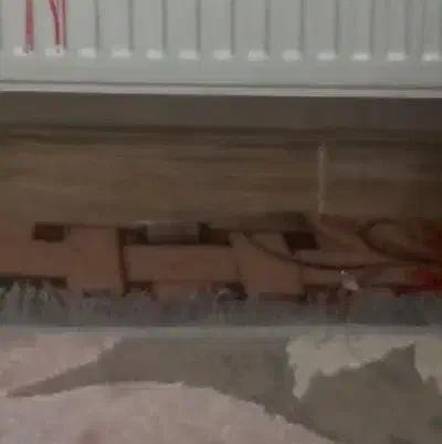 موکت زیبا|موکت|زنجان, |دیوار