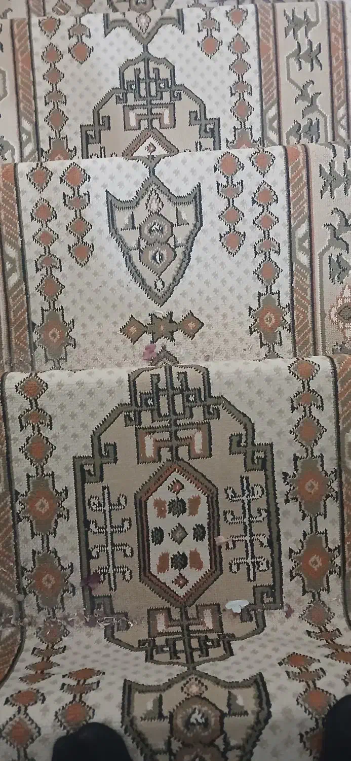 فرش پله سالم|فرش|قم, فرهنگیان و شهربانی|دیوار