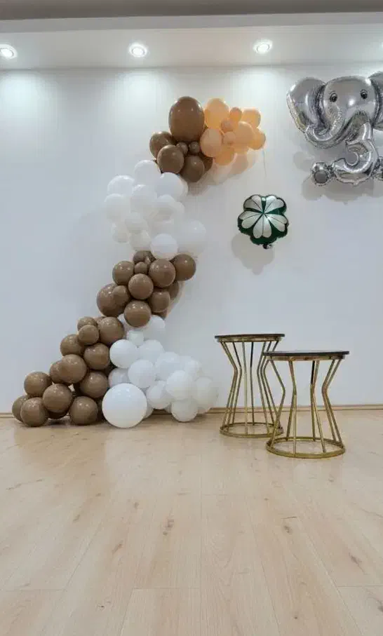 بادکنک ارایی حوضه دیر و کنگان|خدمات پذیرایی، مراسم|بندر دیر, |دیوار