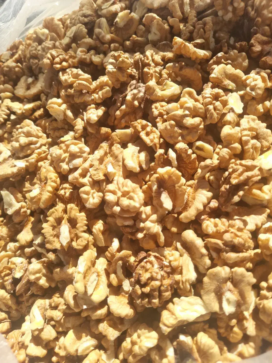 مغز گردو|عمدهفروشی|شاهو, |دیوار