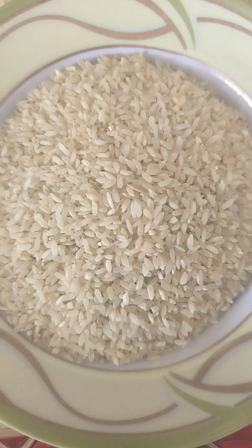 برنج چمپا|خوردنی و آشامیدنی|پاتاوه, |دیوار