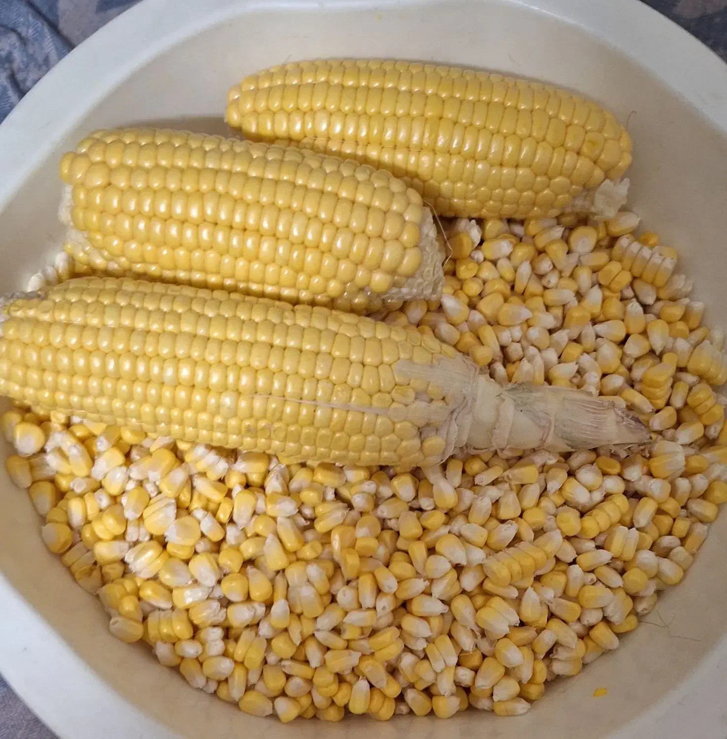 بلال دون شده مکزیکی|خوردنی و آشامیدنی|تهران, امام زاده عبدالله|دیوار