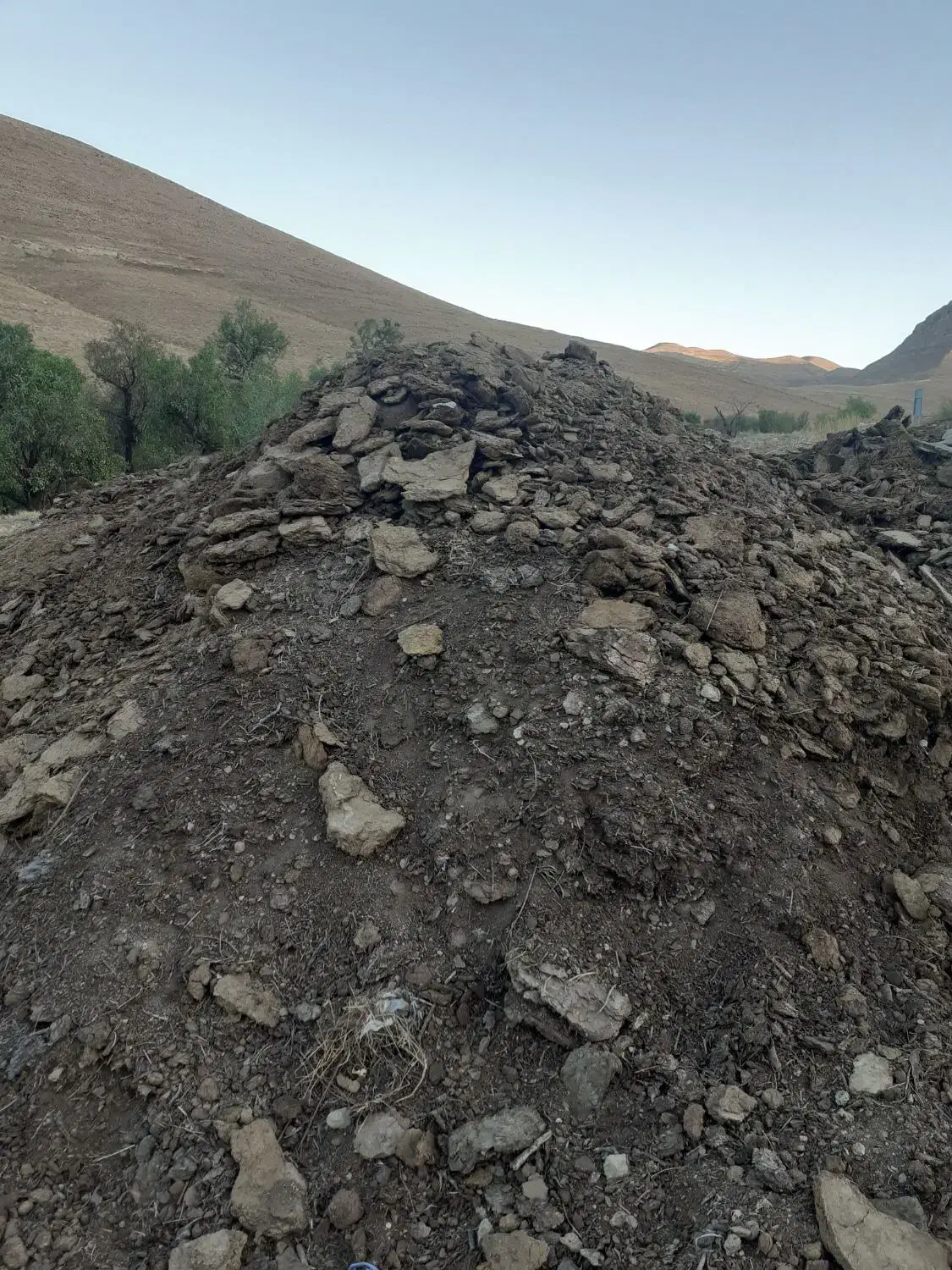 کود گوسفندی پوسیده|خدمات باغبانی و درختکاری|کمیجان, |دیوار