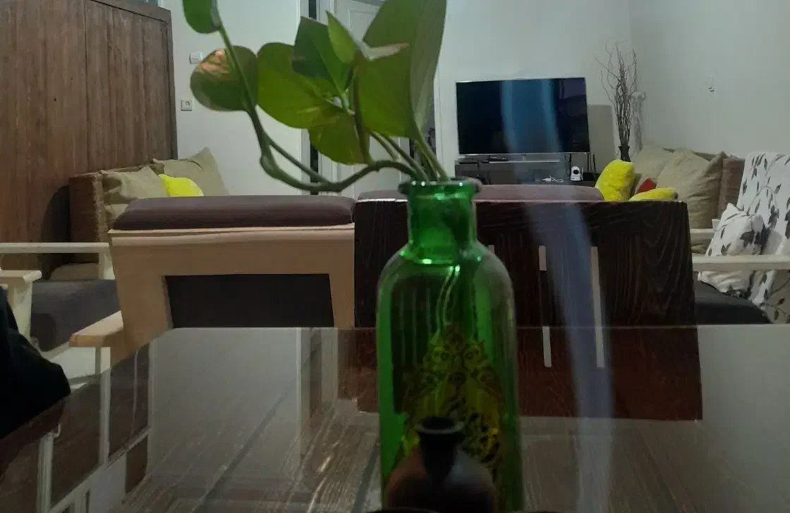 همخانه همخونه خانه دارم