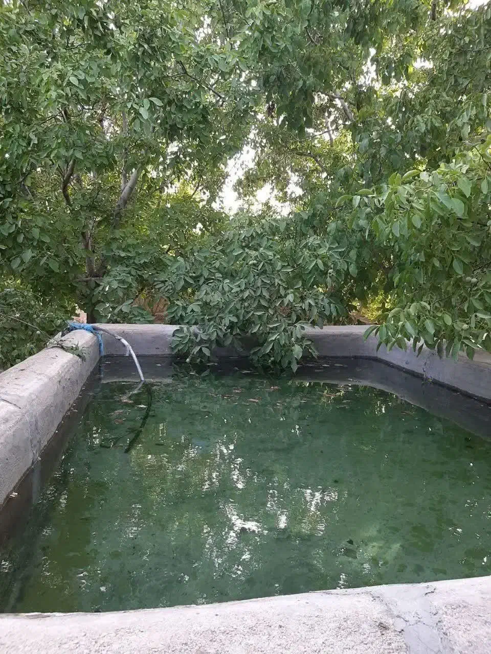 فروش باغ در روستای لاریچه|فروش خانه و ویلا|دهاقان, |دیوار