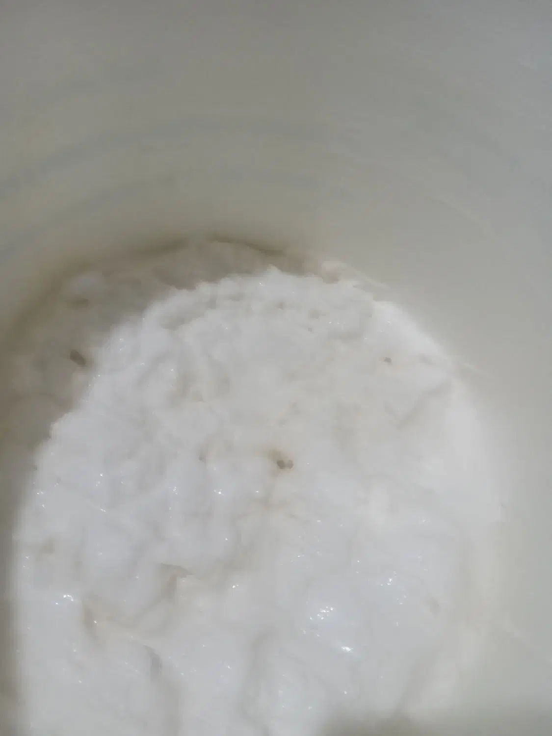 ماست چکیده|خوردنی و آشامیدنی|قلقل رود, |دیوار