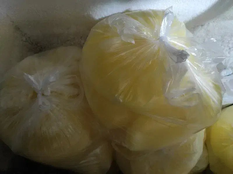 سفیده تخم مرغ تازه، بدون روغن و تمیز|خوردنی و آشامیدنی|قم, قلعه کامکار|دیوار