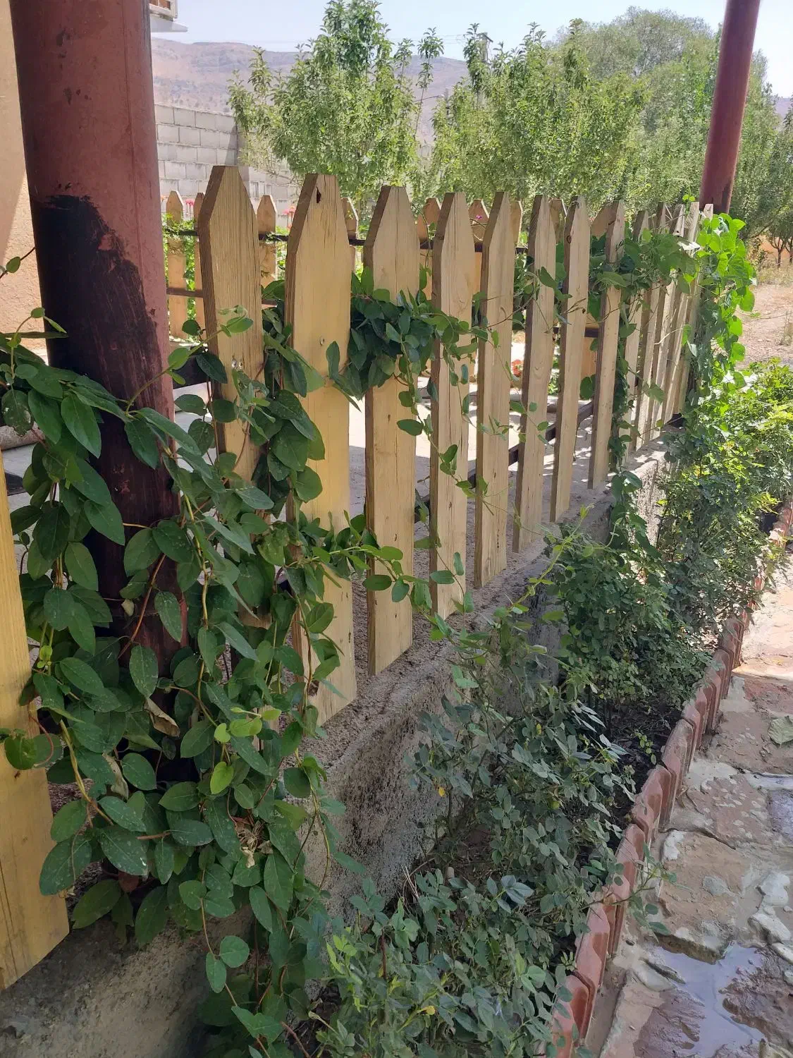 اجاره ویلا باغ|اجارهٔ کوتاه‌مدت ویلا و باغ|یاسوج, |دیوار