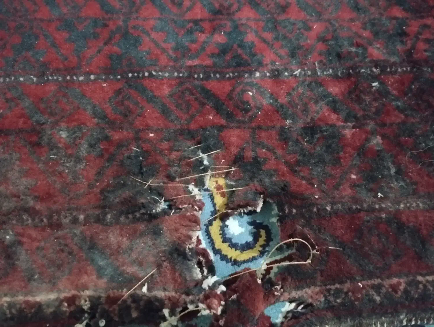 فرش دست بافت|فرش|مشهد, پنجتن|دیوار