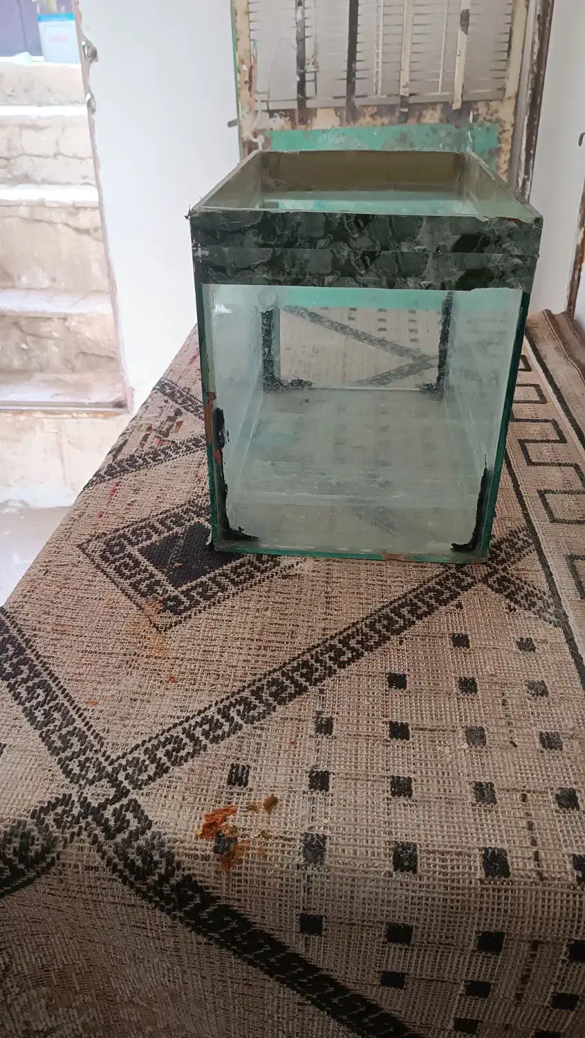 آکواریوم|ماهی|نیشابور, مبارکه|دیوار