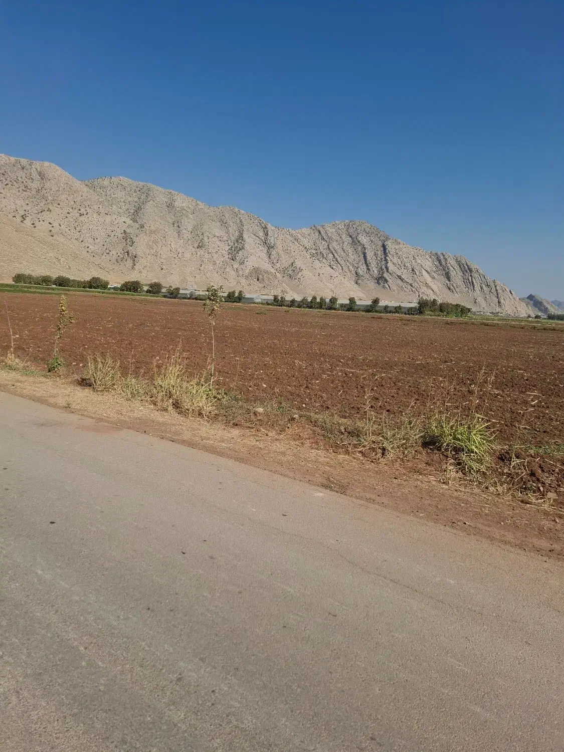 زمین کشاورزی آبی روبروی الکل سازی با موقعیت ممتاز|فروش دفتر صنعتی، کشاورزی، تجاری|خرم‌آباد, |دیوار