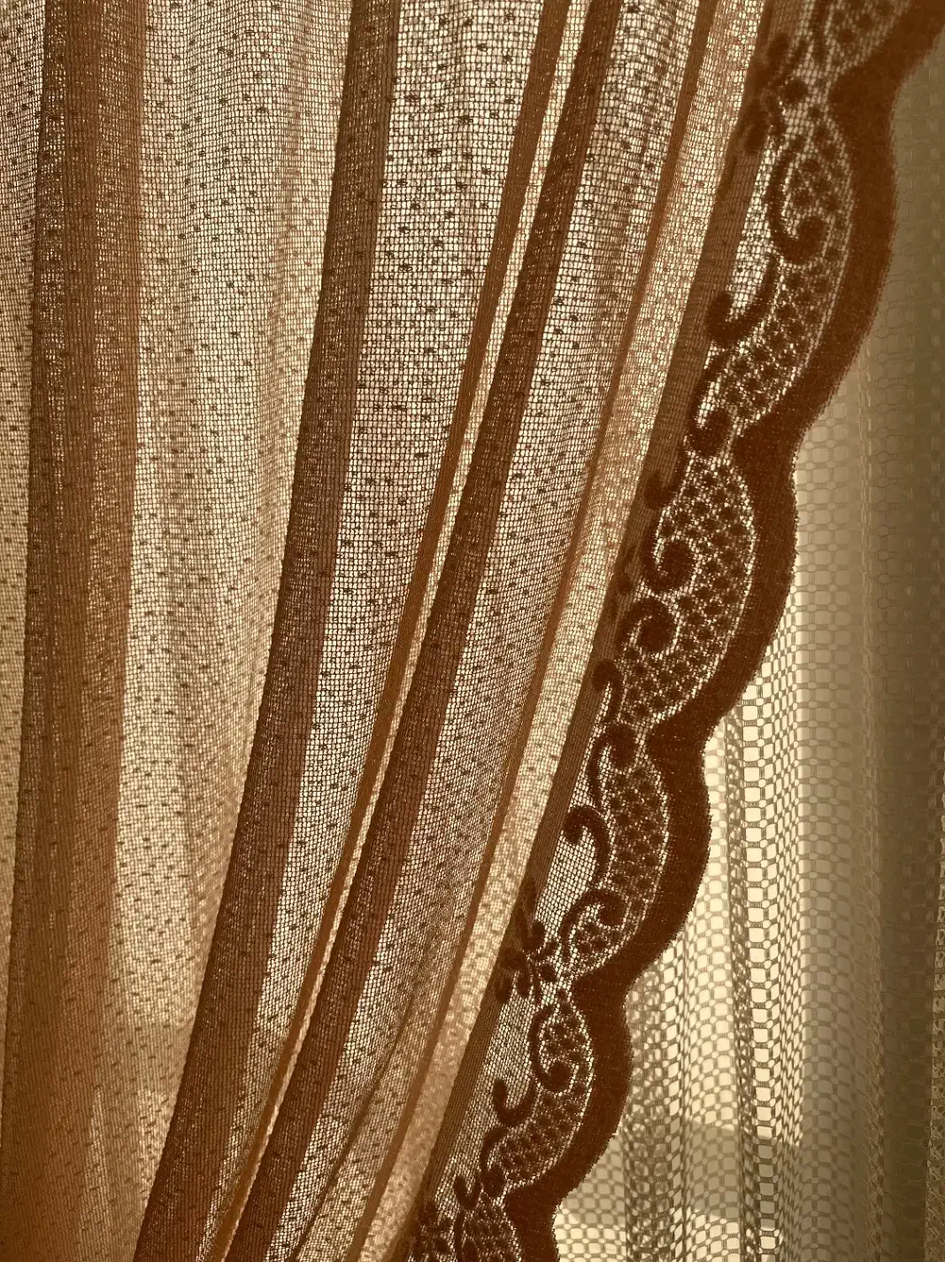 پرده تور نو خوش رنگ|پرده، رانر، رومیزی|شاهینشهر, عطار|دیوار