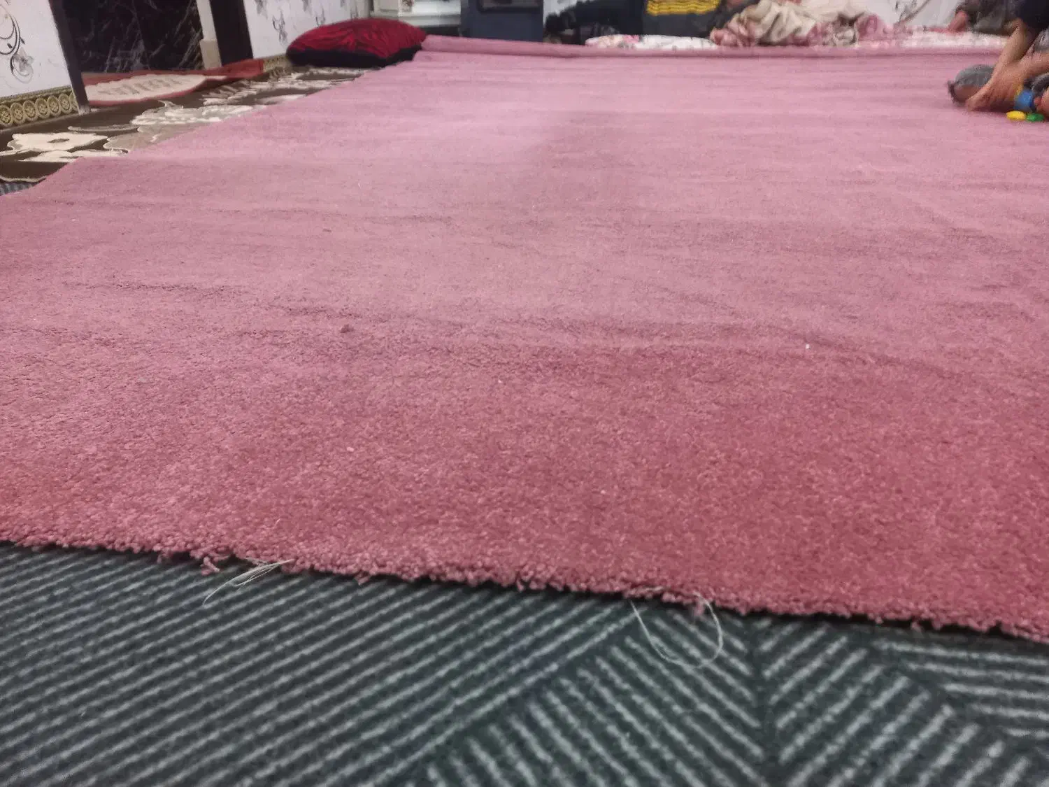 موکت پالاز|موکت|اهواز, گلدشت|دیوار