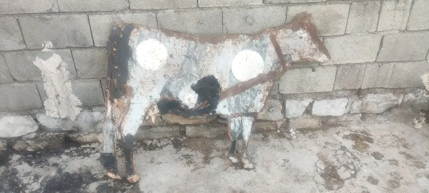 مجسمه گاو فلزی|مجسمه، تندیس، ماکت|کرمانشاه, |دیوار