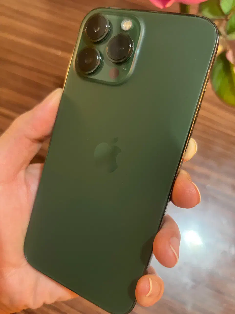 ایفون ۱۳ پرو|موبایل|شیراز, گلدشت معالی‌آباد|دیوار