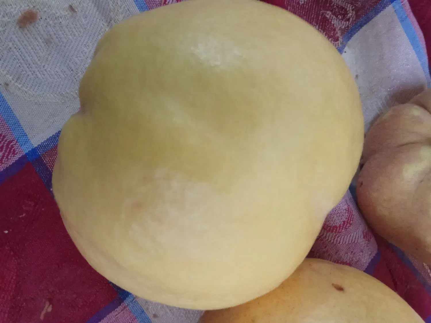 به شهربابک|خوردنی و آشامیدنی|انار, |دیوار