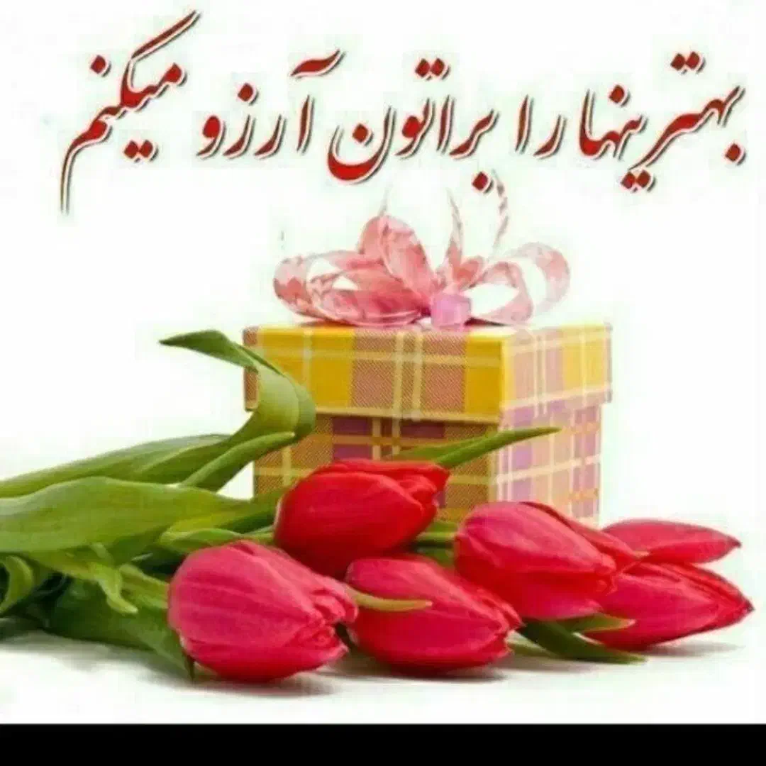 راهنمای درمورد کار|فعالیت داوطلبانه تحقیقاتی|تبریز, |دیوار