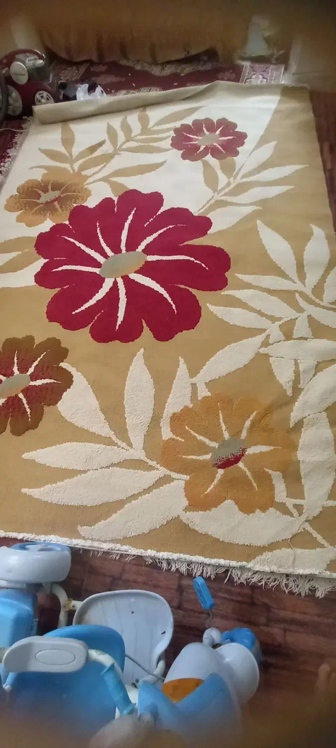 گلیم ۶متری|گلیم، جاجیم، گبه|تربت جام, حافظ|دیوار