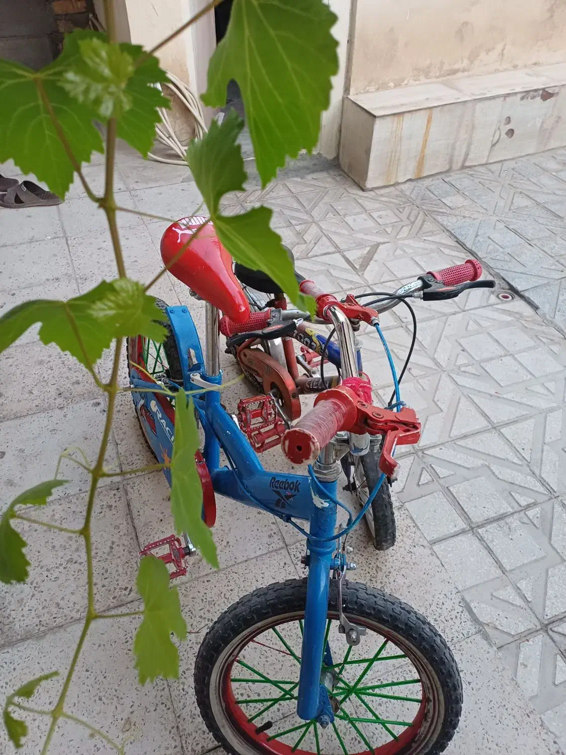 ۲عدد دوچرخه ۱۲ و ۱۶  در زیباشهر|دوچرخه، اسکیت، اسکوتر|قزوین, |دیوار