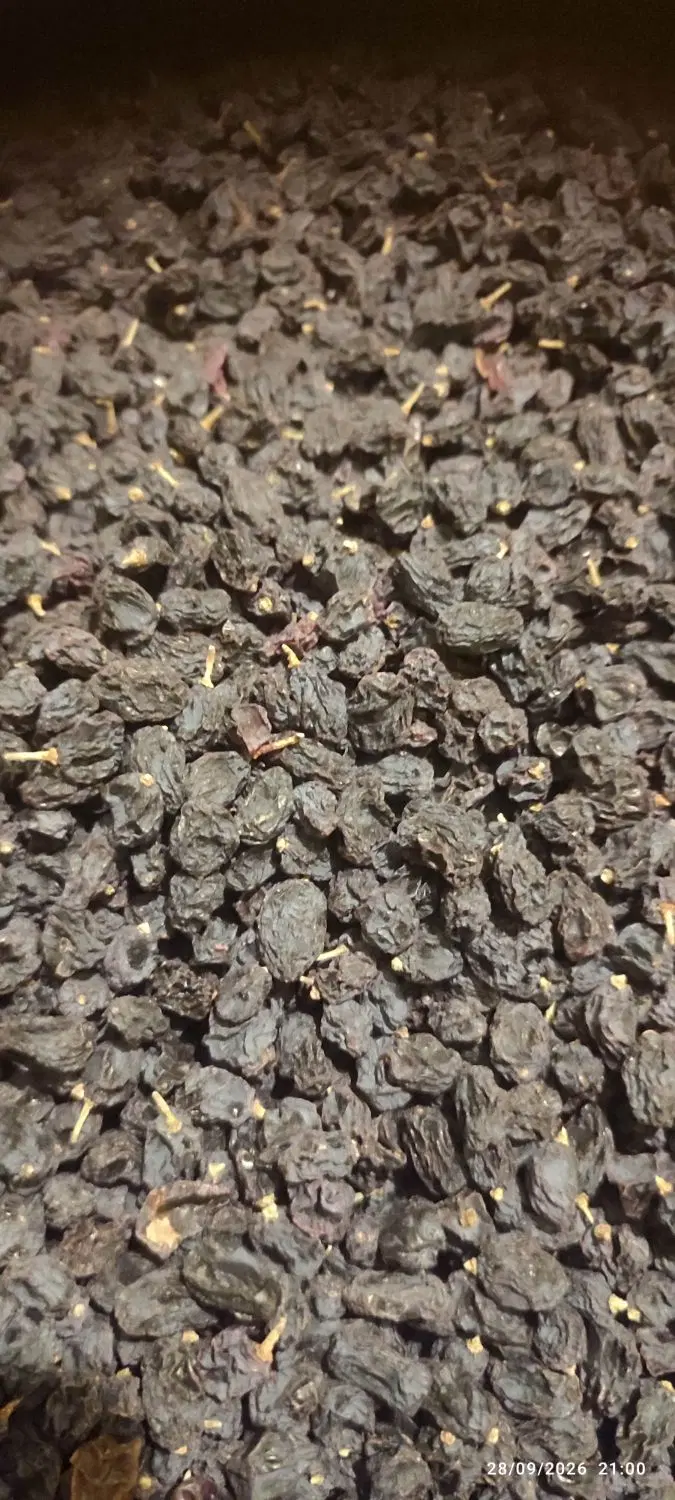 مویز|خوردنی و آشامیدنی|نیشابور, شریعتی|دیوار