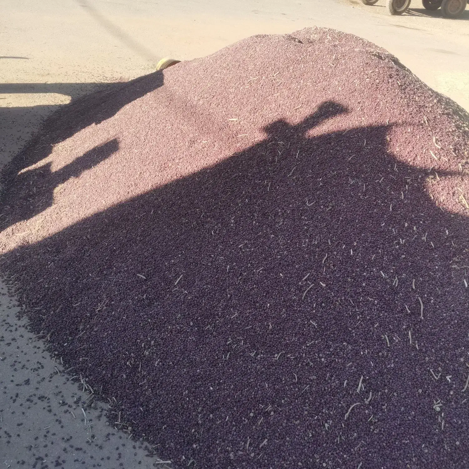 لوبیا قرمز تمیز|خوردنی و آشامیدنی|شیراز, محمدیه|دیوار