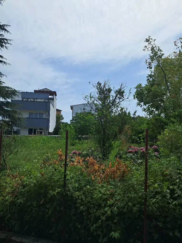 نوشهر/قطعه زمین۲۵۰متری/شهرکی/سندتک برگ/مدارک تکمیل|فروش زمین و ملک کلنگی|نوشهر, |دیوار