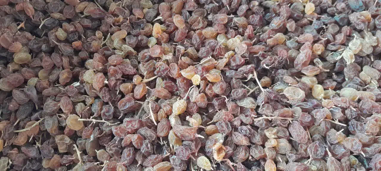 کشمش عسگری اعلا|خوردنی و آشامیدنی|شازند, |دیوار