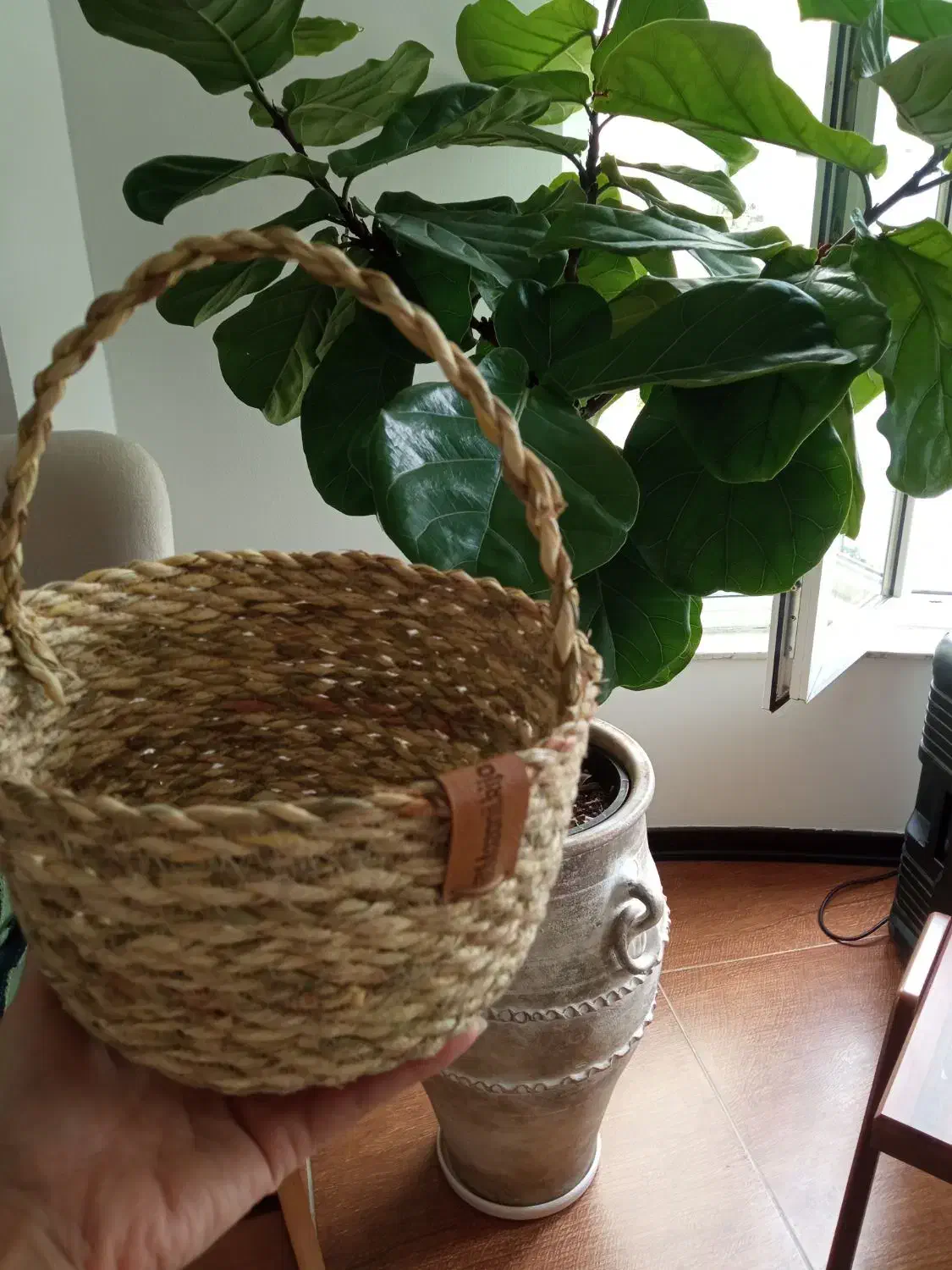 سبد سبزه|صنایع دستی و سایر لوازم تزئینی|قائم‌شهر, |دیوار