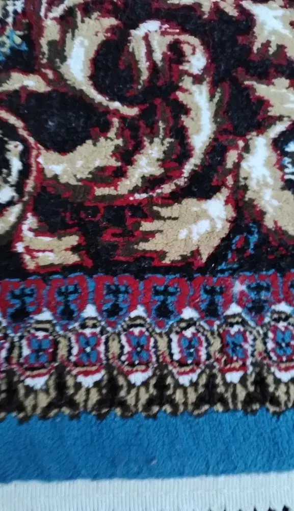 فروش فرش|فرش|دهدشت, |دیوار