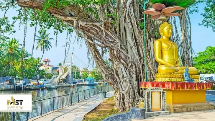 تور لحظه آخری سریلانکا با تخفیف ویژه همین سه شنبه|تور و چارتر|تهران, خواجه نظام الملک|دیوار