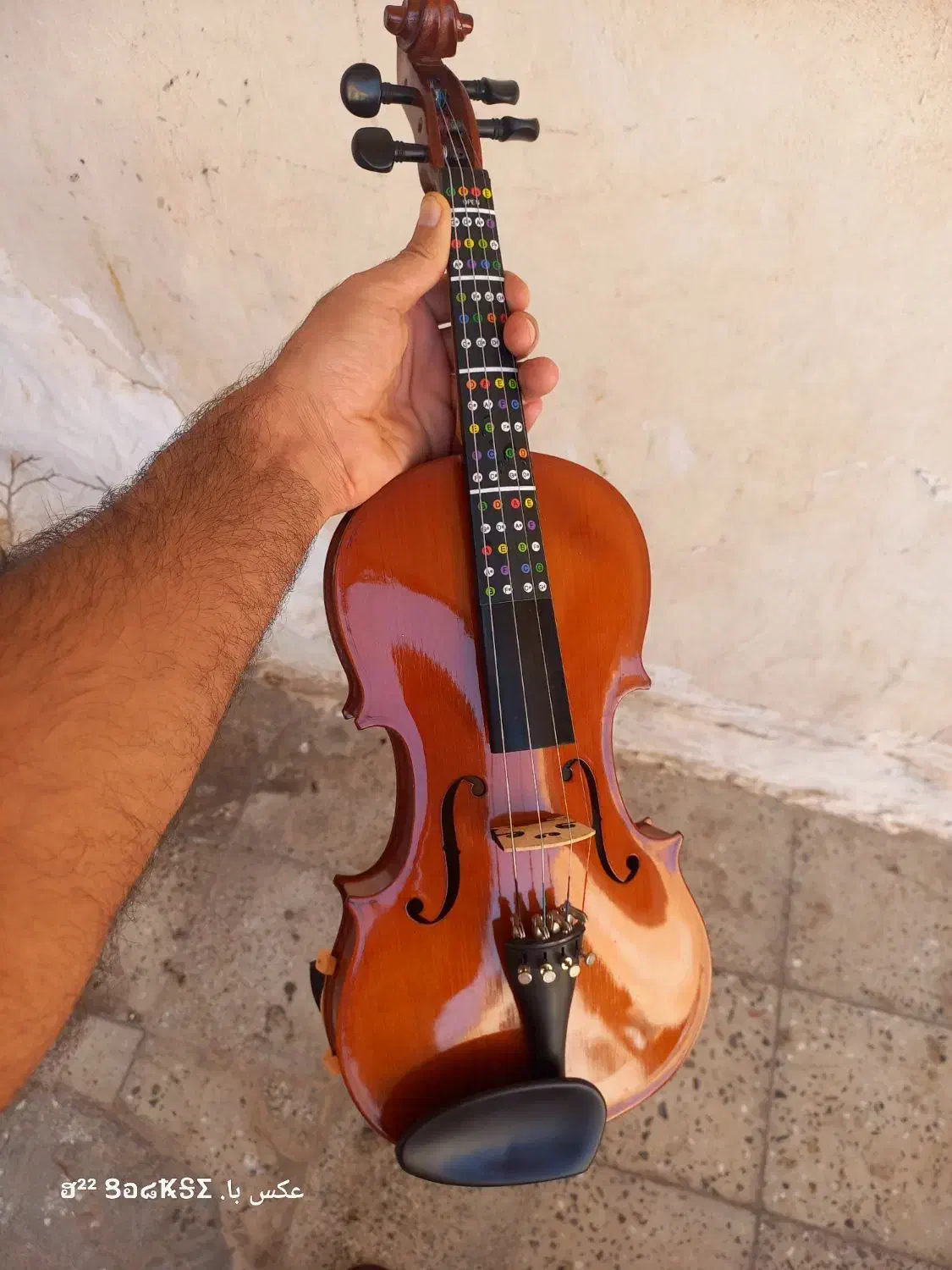 ویولن با تمام ادوات|ویولن|رامشیر, |دیوار