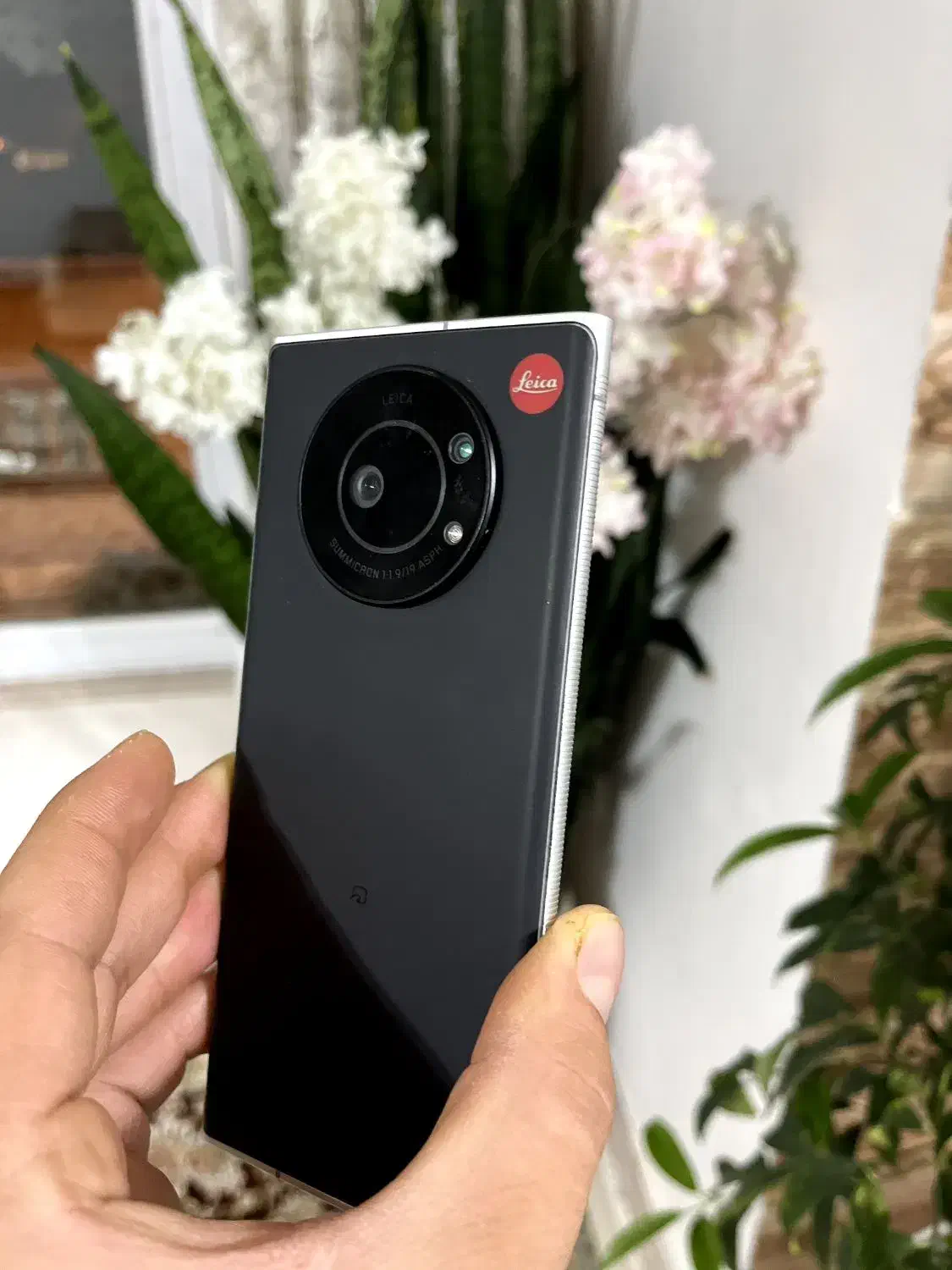 لایتزفون۱|موبایل|مهاباد (آذربایجان غربی), |دیوار