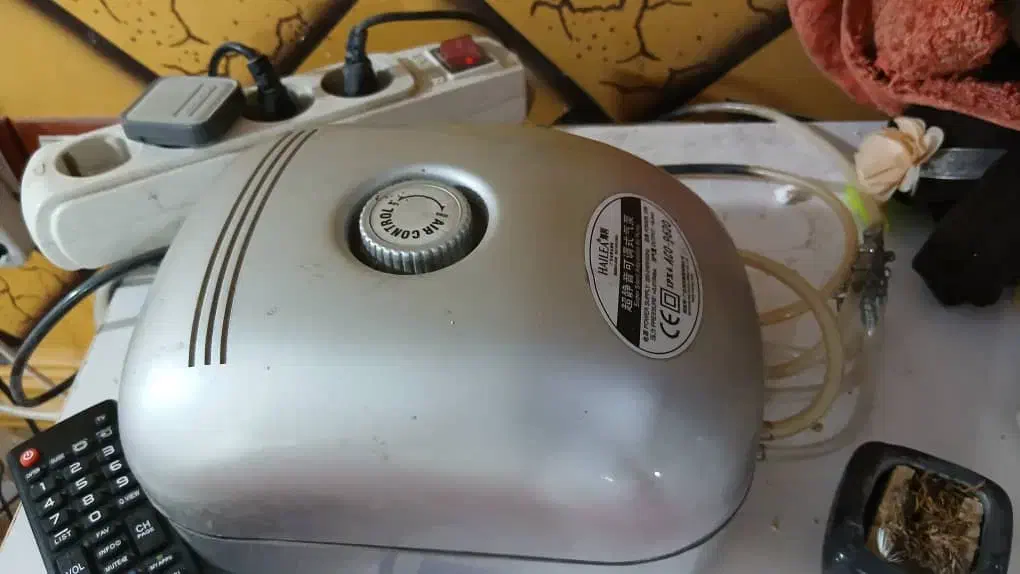 اکواریوم با وسایل کامل|ماهی|اهواز, کوی مندلی(سه راه خرمشهر)|دیوار