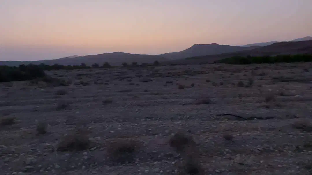 یک موقعیت استثنایی برای صاحب باغ شدن با نصف قیمت|فروش دفتر صنعتی، کشاورزی، تجاری|جهرم, |دیوار