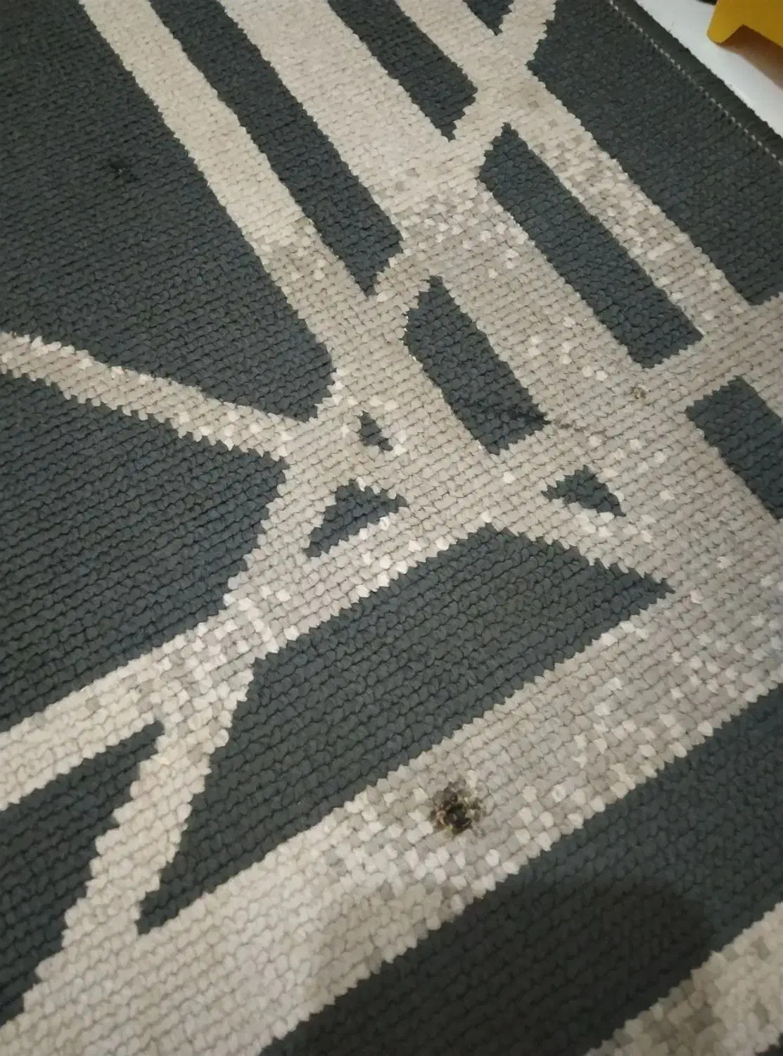 گلیم آشپزخانه|گلیم، جاجیم، گبه|نیشابور, خط کاشمر|دیوار