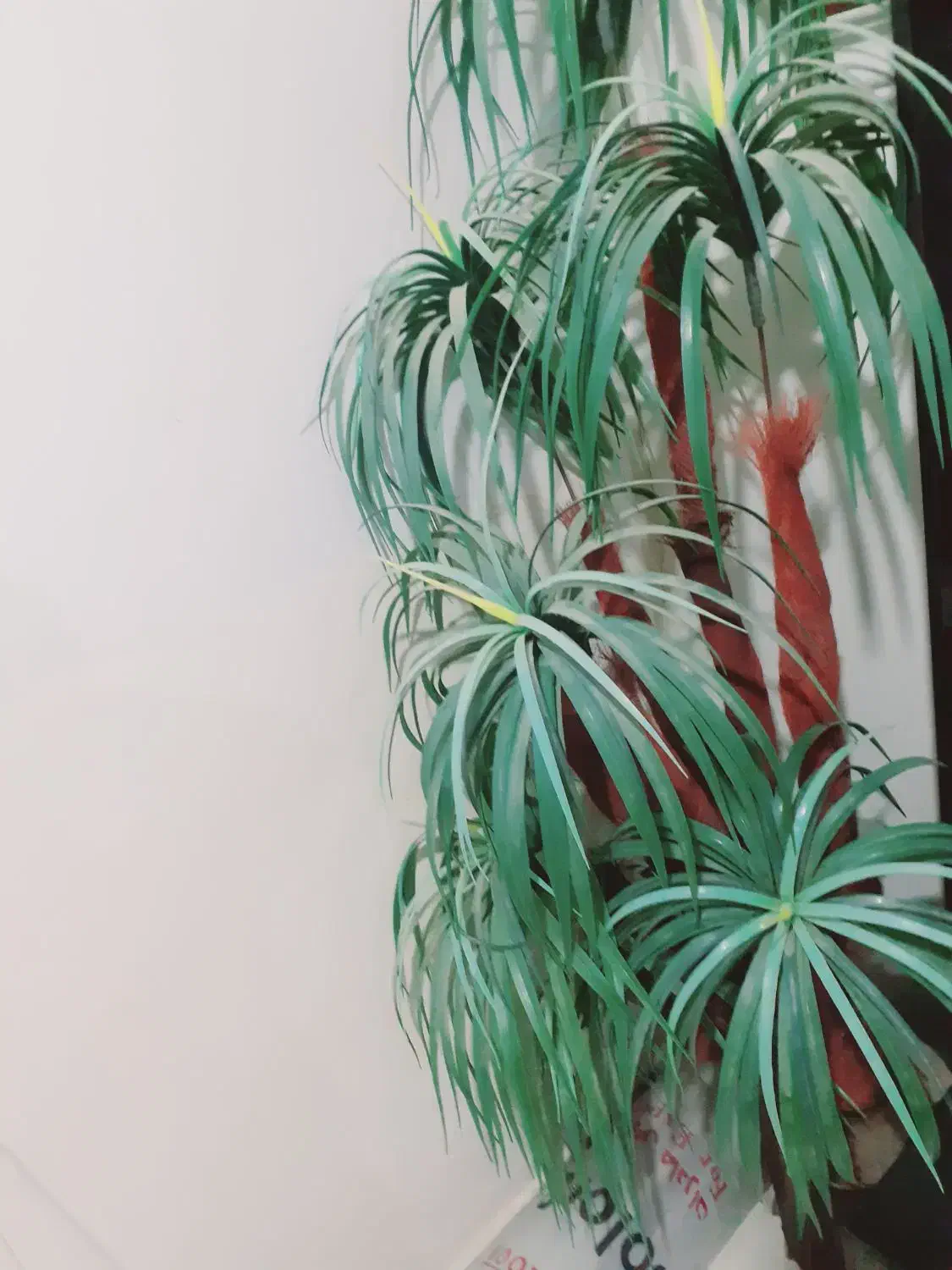 درخچه درحد نو|گل مصنوعی|زابل, |دیوار