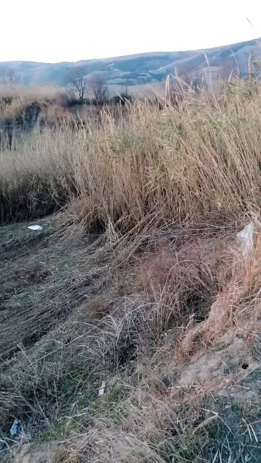 نی فروشی|سازهای بادی|صادق آباد, |دیوار