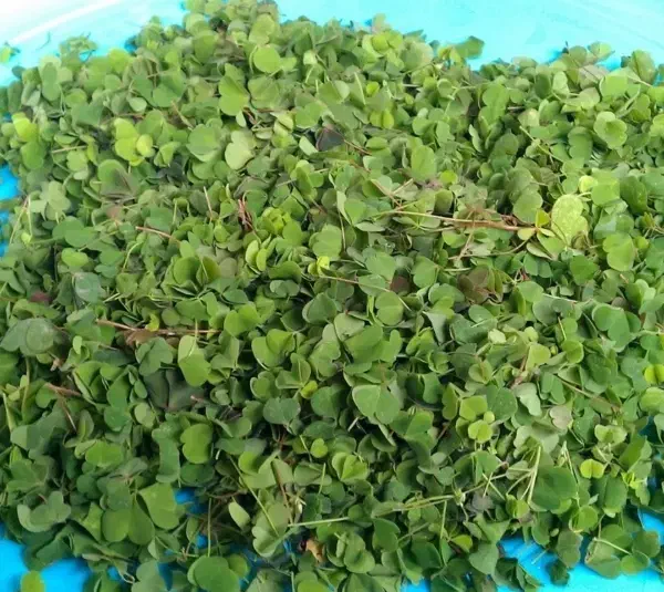 سبزی محلی،ترش واش|خوردنی و آشامیدنی|لاهیجان, لاشیدان|دیوار