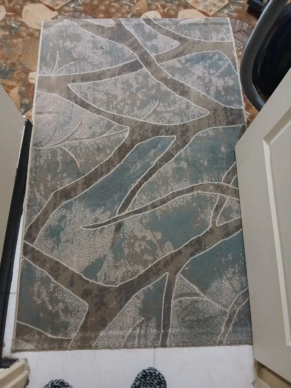 دوعدد پادری|پادری|تهران, بهمن یار|دیوار