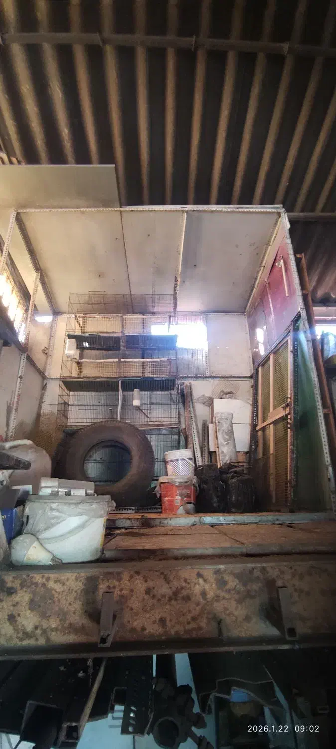 قفس پرنده و گنجه|لوازم جانبی حیوانات|نوشهر, |دیوار