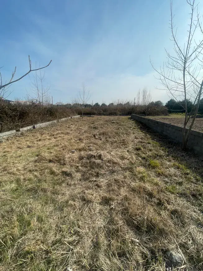 ۲۵۰متر سرمایه گذرای|فروش زمین و ملک کلنگی|کلاچای, |دیوار